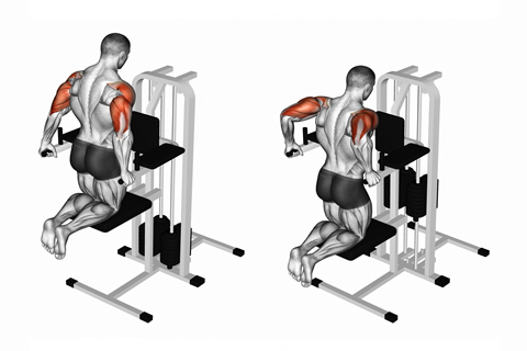 Assisted Dips