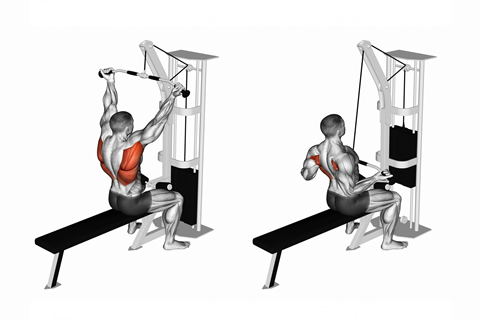 Back Bar Pull Downs With Palms-Up