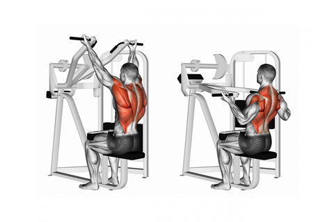 Pull Downs On A Cable Chest Workout
