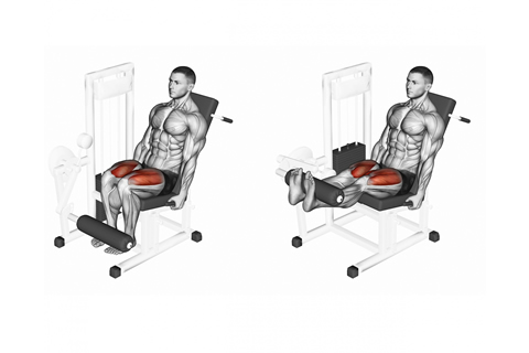 Quads Knee Extension Machine