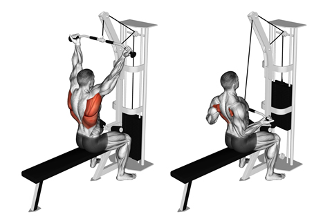 Reverse Grip Lat Pulldown